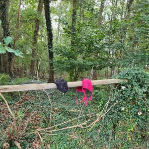 Sandweg am Wald in Rees nähe Ponyhof