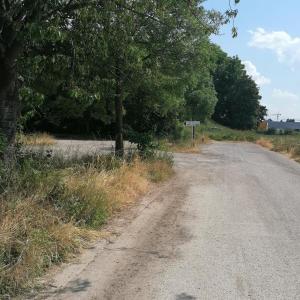 Köln weiden am Feld