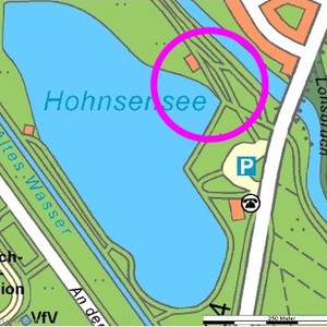 Wäldchen am Hohnsensee