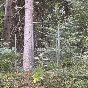 A95 zwischen WOR und Seeshaupt