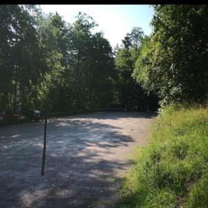 Ist im Wald und ist leicht zu finden in der Woche