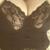 blondi565